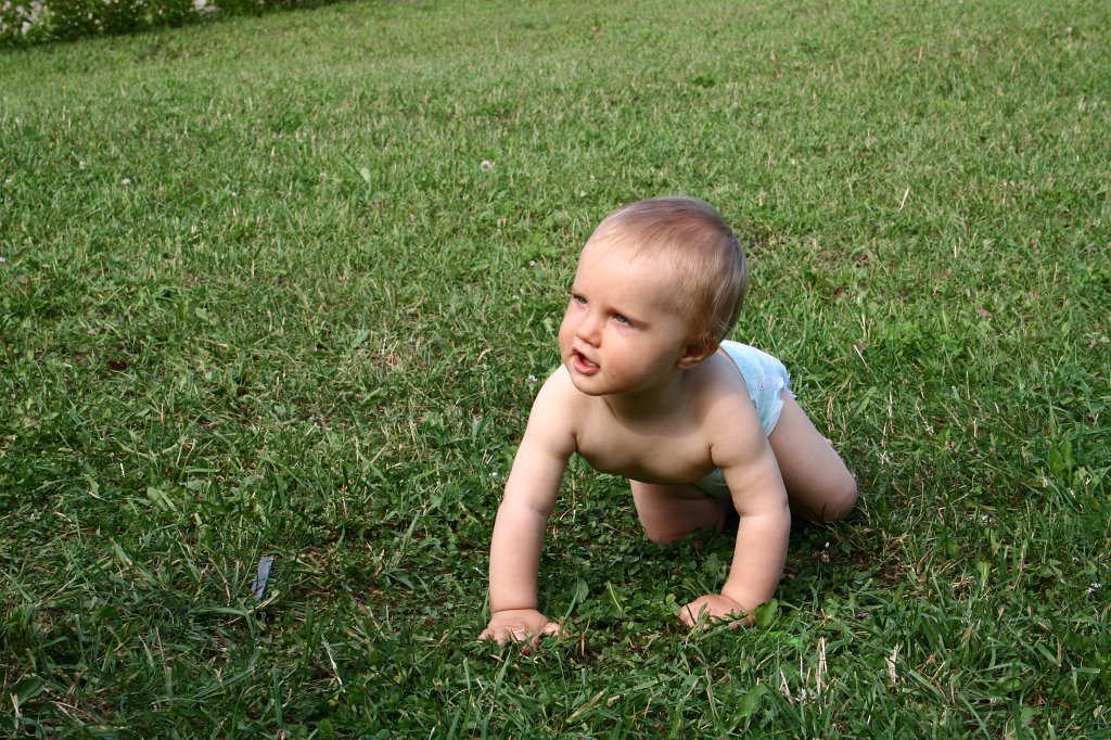 IMG_8947.JPG - Pożeracz trawników