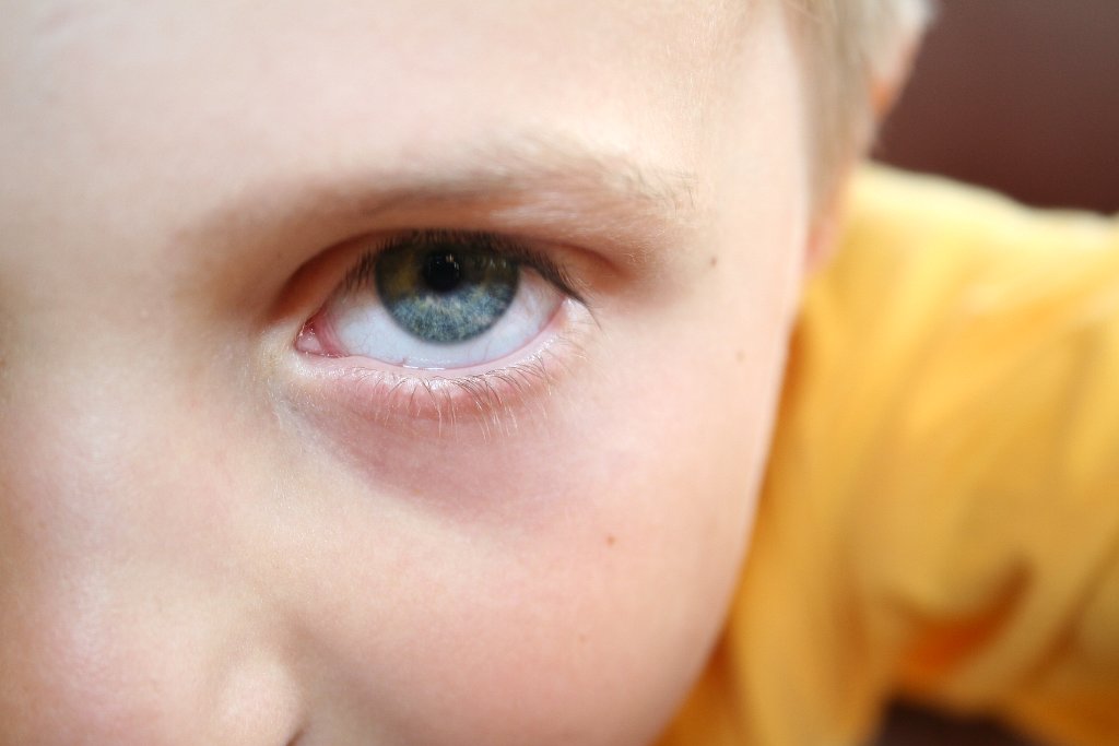 IMG_9744.JPG - Oko w oko