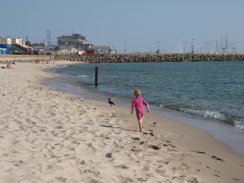 2014-05-23_P5239351.JPG - Ganiam ptaki po plaży