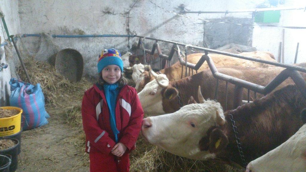 2015-01-26_17-16_DSC_0182.jpg - Muuu?