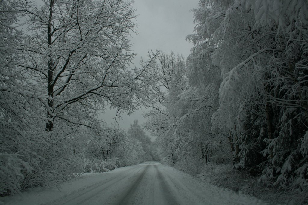 IMG_2053.JPG - Pastwiska-Wisłoczek