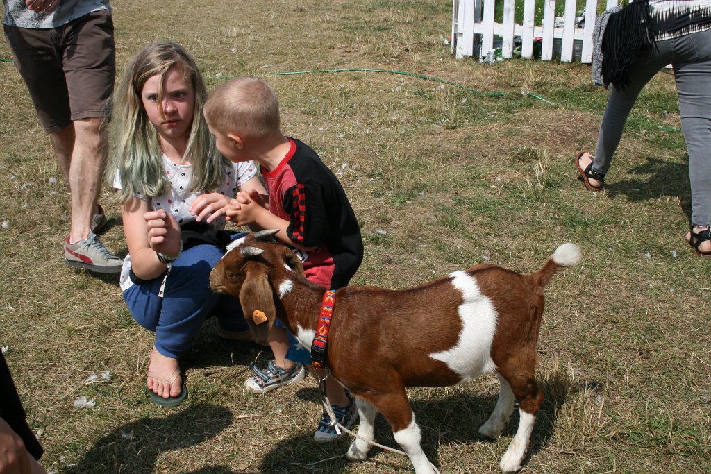 IMG_4015.JPG - Ale co? :)