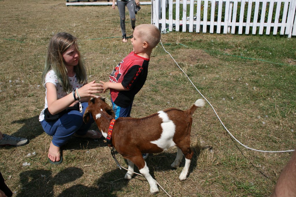 IMG_4016.JPG - Aaa, to tak!