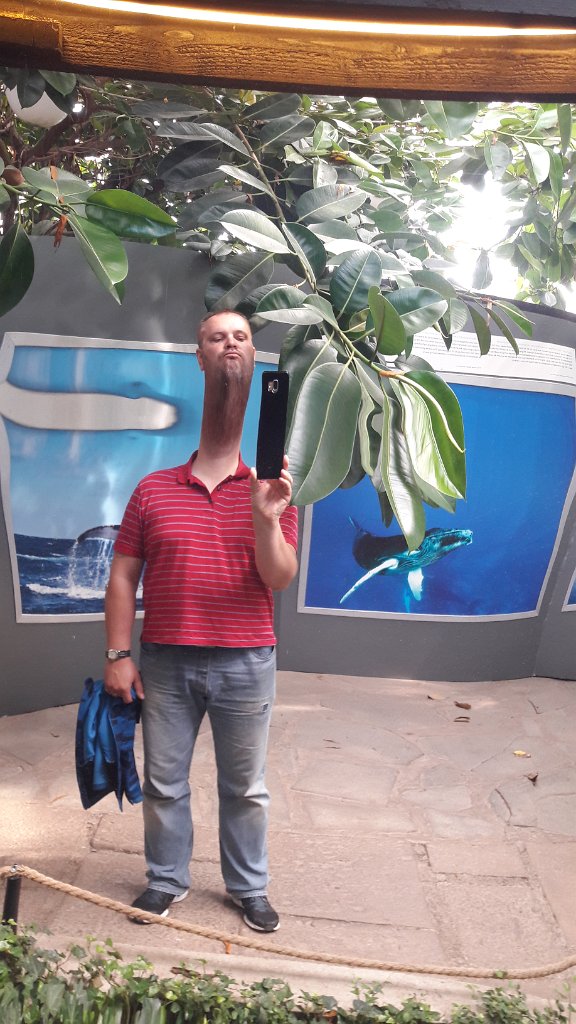 20170717_124737.jpg - Gabinet luster w Hagaparken